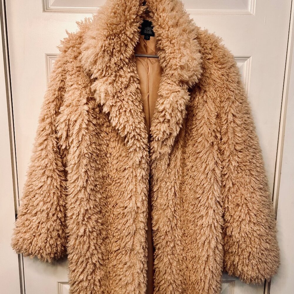 Wild Fable Blush Pink Teddy Coat — Size L — Cozy Soft Girl Winter